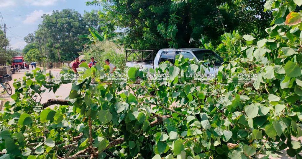 Camioneta se impacta en una barda y un árbol Camioneta se impacta en una barda y un árbol