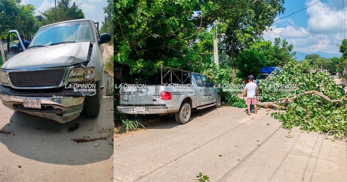 Camioneta se impacta en una barda y un árbol Camioneta se impacta en una barda y un árbol
