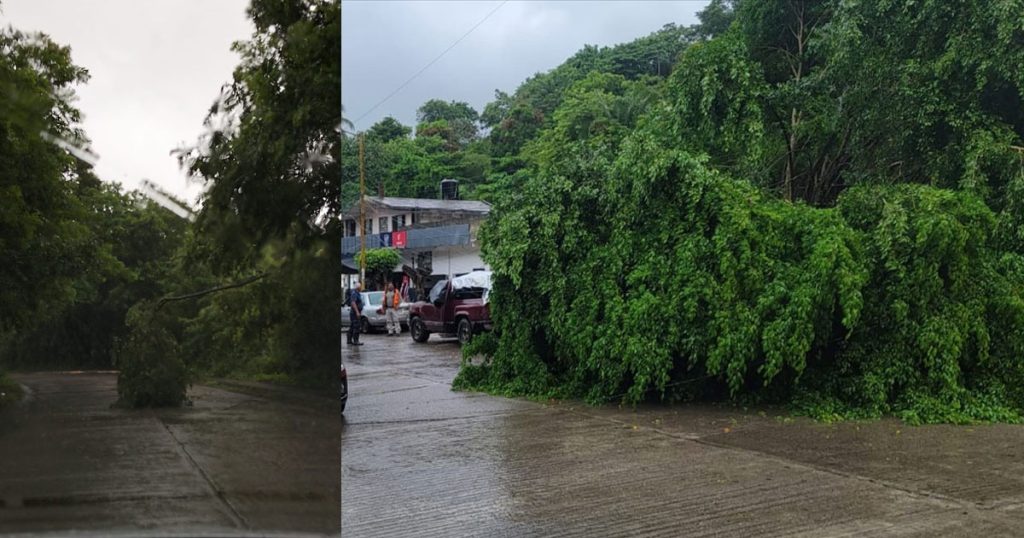 Seguirán las lluvias en Gutiérrez Zamora por el Disturbio Tropical 90E; reportan árboles caídos y cortes de luz