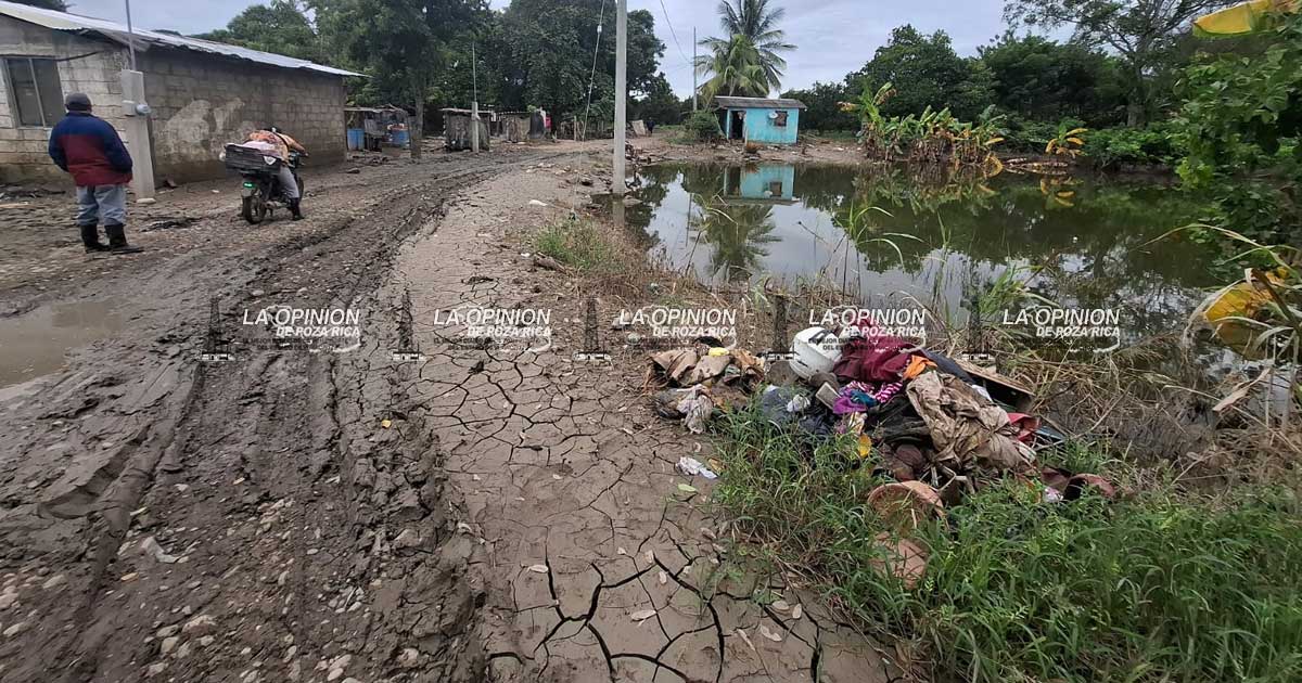 Desbordamientos dejan lagartos en una comunidad Desbordamientos dejan lagartos en una comunidad