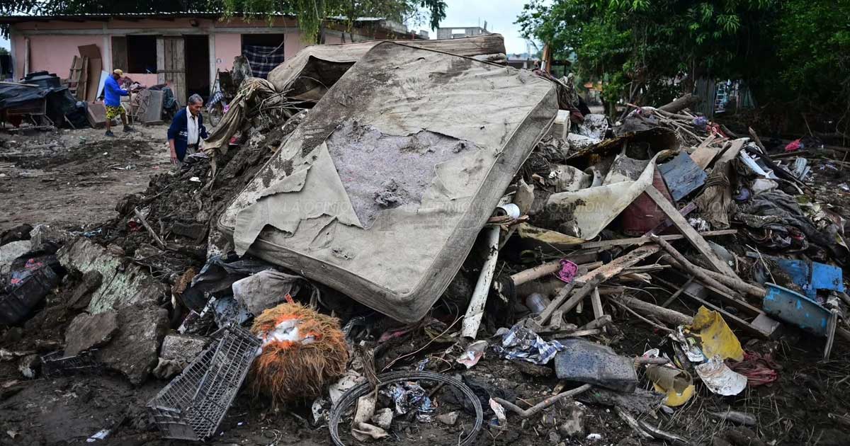 Greenpeace evalúa impacto ambiental Greenpeace evalúa impacto ambiental