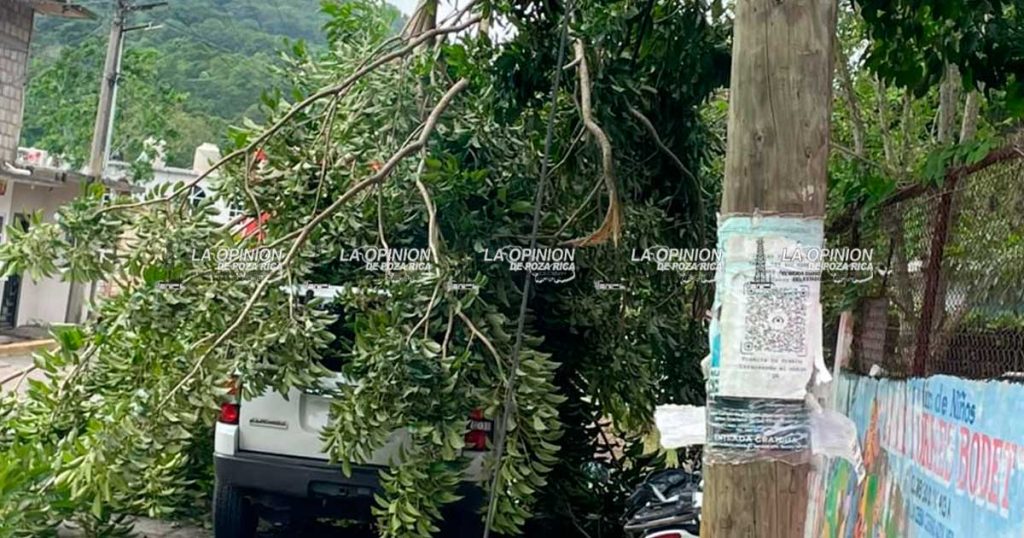 Caídas de árboles y cortes de energía eléctrica en Cerro Azul Caídas de árboles y cortes de energía eléctrica en Cerro Azul