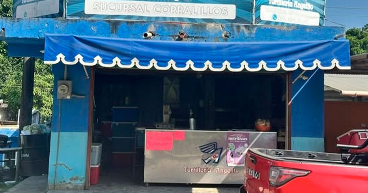 Regalan tortillas a damnificados Regalan tortillas a damnificados