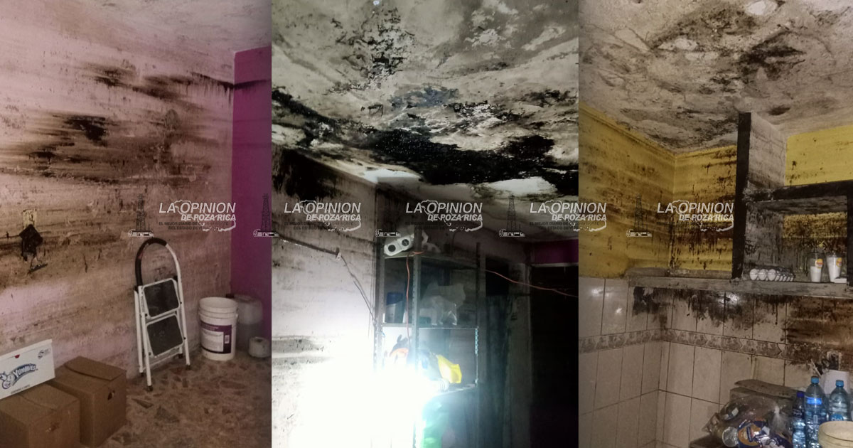 Casas manchadas con aceite afectan a familias de la Palma Sola Casas manchadas con aceite afectan a familias de la Palma Sola