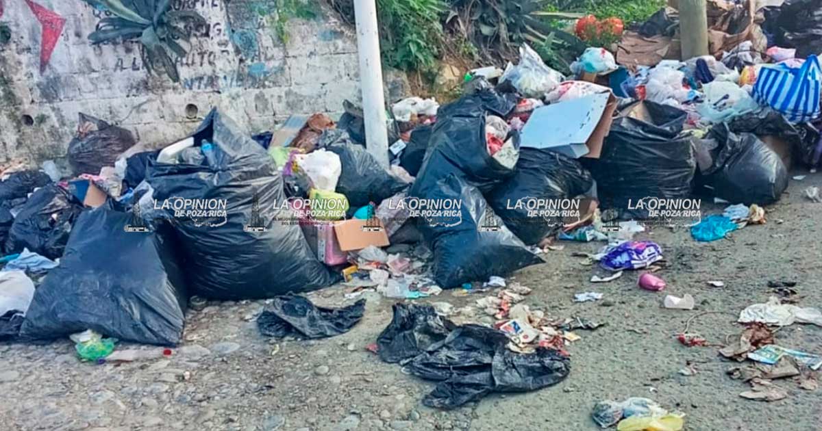 Cerros de basura y aguas negras por drenaje afectan a vecinos de El Mollejón