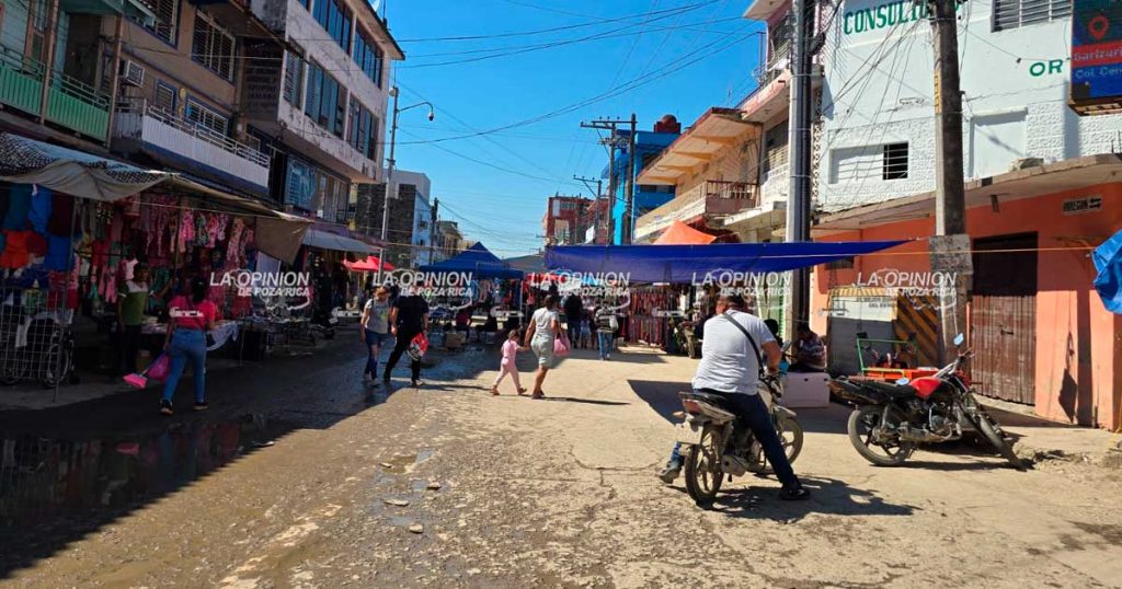 Regreso parcial del tianguis dominical Regreso parcial del tianguis dominical