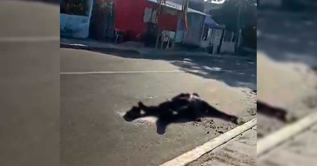 Ejecutan a hombre a plena luz del día Ejecutan a hombre a plena luz del día