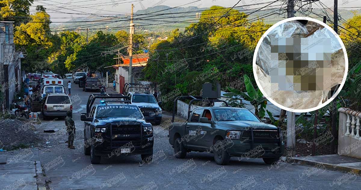 Aseguran tres kilos de marihuana tras operativo en la colonia Agustín Lara Aseguran tres kilos de marihuana tras operativo en la colonia Agustín Lara