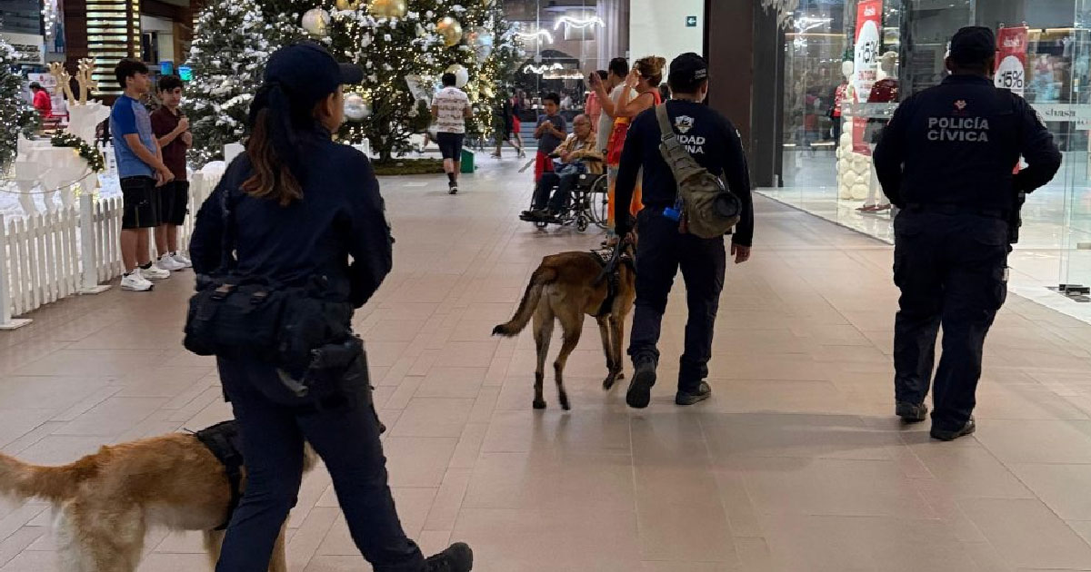 Veracruz mantiene jornadas de Buen Fin sin incidentes relevantes: SSP Veracruz mantiene jornadas de Buen Fin sin incidentes relevantes: SSP