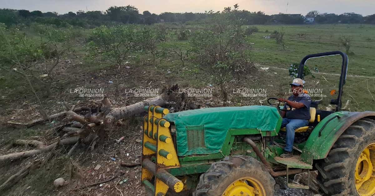 Revisarán el censo de productores damnificados