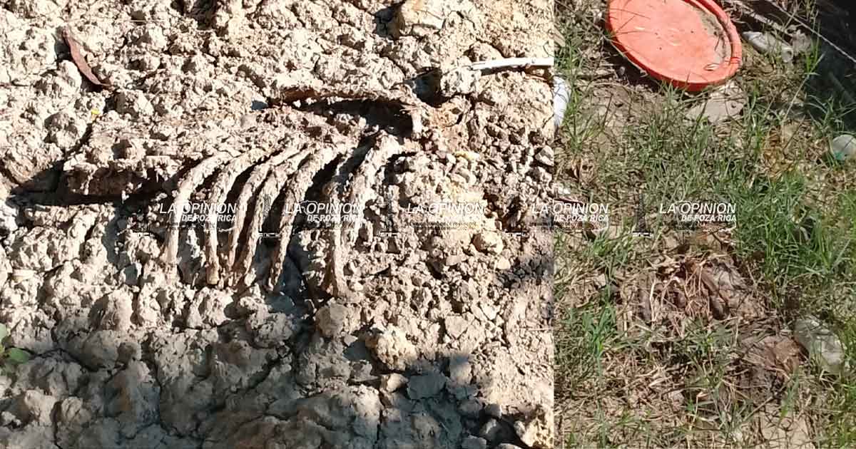 Movilizan policía por restos humanos Movilizan policía por restos humanos