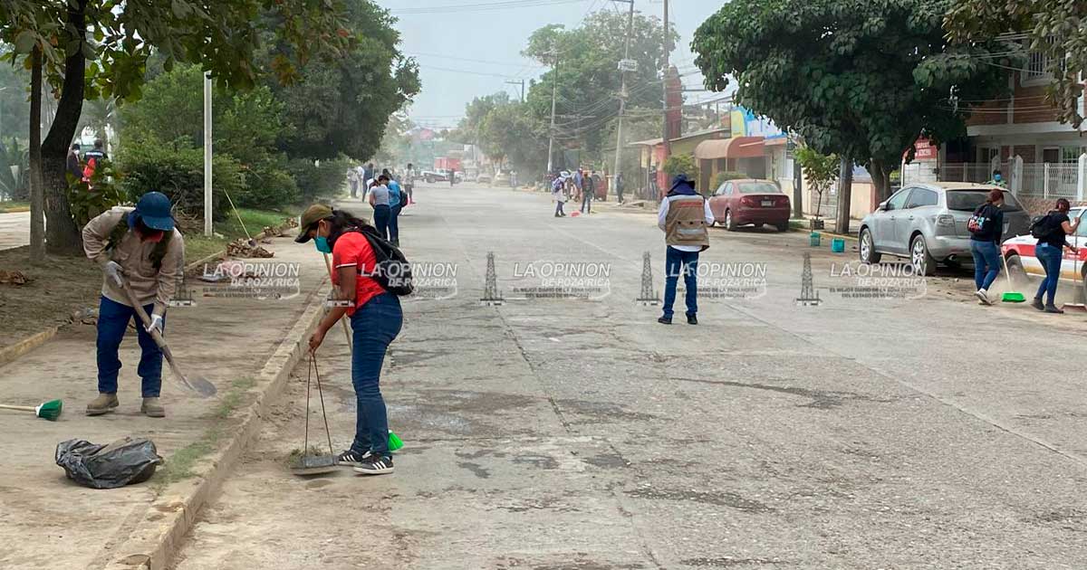 Arrancan las primeras labores de limpieza por parte de Jóvenes Construyendo el Futuro Arrancan las primeras labores de limpieza por parte de Jóvenes Construyendo el Futuro