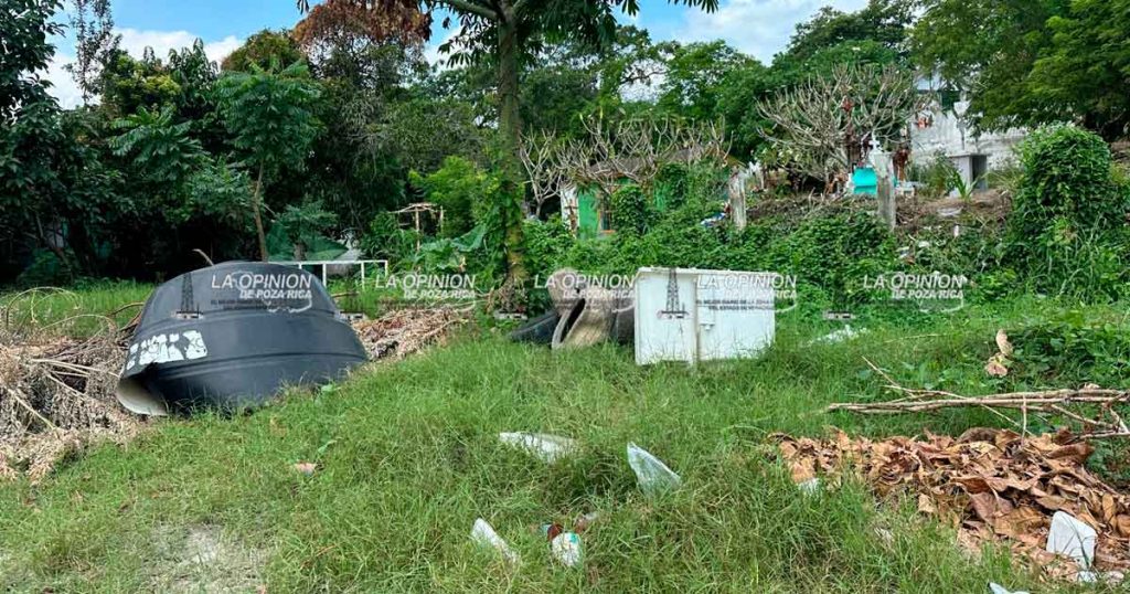 En pleno Todos Santos, cementerio en abandono En pleno Todos Santos, cementerio en abandono