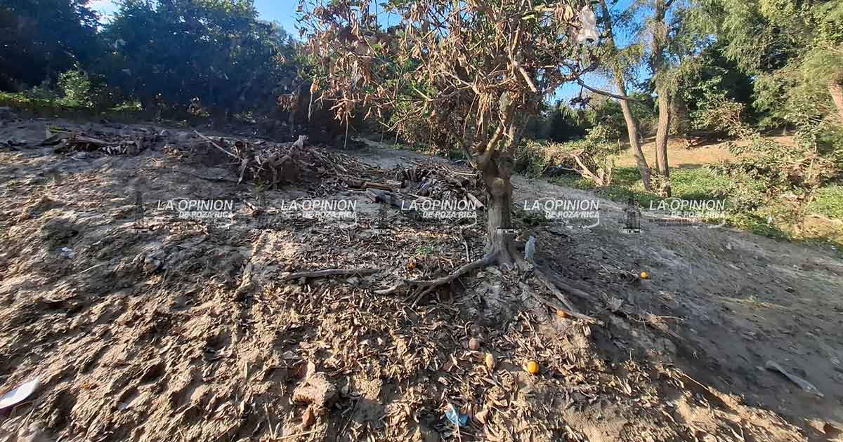 Más de 18 mil hectáreas dañadas por inundaciones