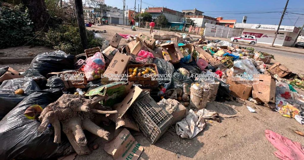 Deficiente servicio de DISCRICAR propicia basureros clandestinos en Poza Rica Deficiente servicio de DISCRICAR propicia basureros clandestinos en Poza Rica
