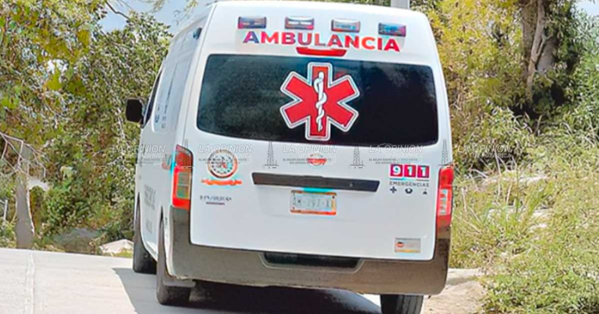 Menor de edad es atacado por un perro