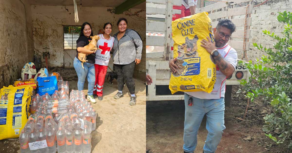 Cruz Roja Mexicana Delegación Poza Rica apoya a fundación con donación de croquetas