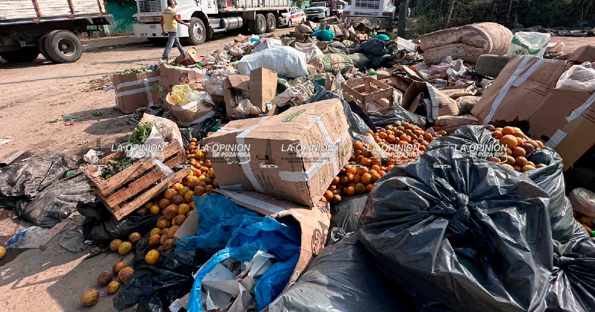 Deficiente servicio de DISCRICAR propicia basureros clandestinos en Poza Rica Deficiente servicio de DISCRICAR propicia basureros clandestinos en Poza Rica