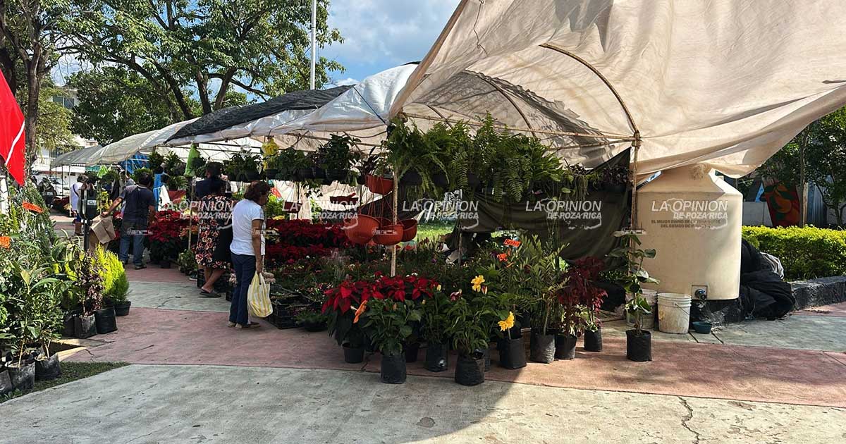 Llegó la Navidad a Poza Rica: puestos navideños inundan la Plaza Cívica