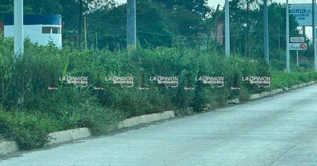 Denuncian falta de mantenimiento en boulevares de Poza Rica