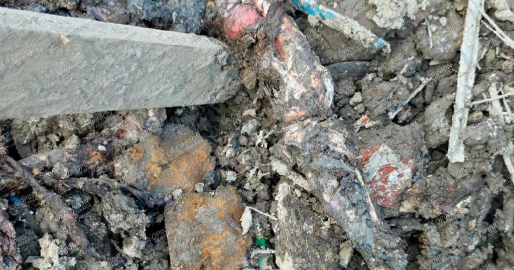 Hallan posibles restos humanos entre escombros en panteón de Coatzintla Hallan posibles restos humanos entre escombros en panteón de Coatzintla