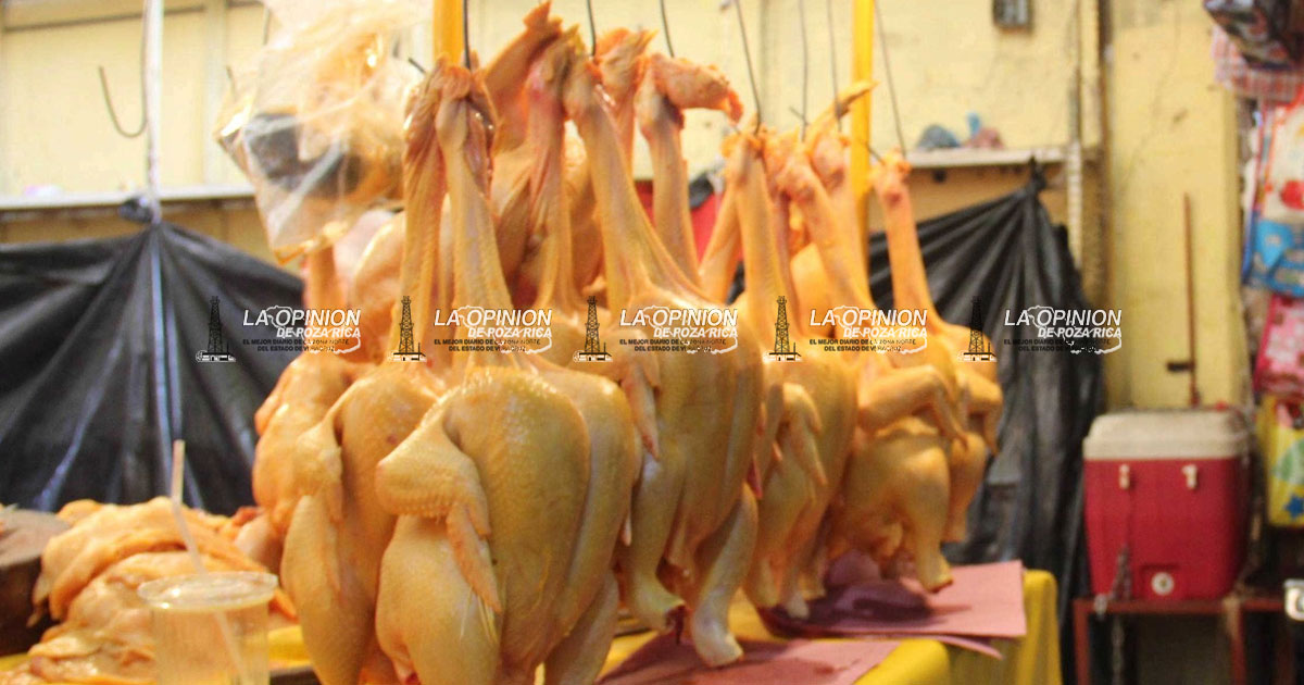 Consumir pollo sin sello sanitario representa un riesgo para la salud Consumir pollo sin sello sanitario representa un riesgo para la salud