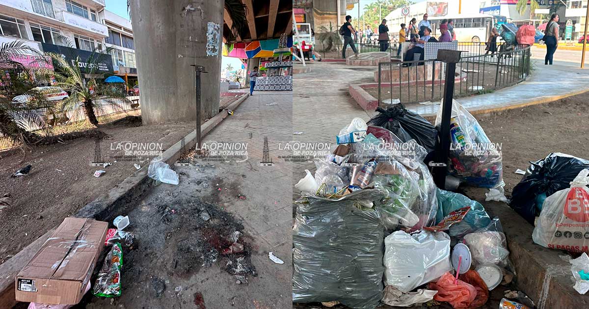 Queman basurero clandestino en el Parque Paseo Raices de Vida Queman basurero clandestino en el Parque Paseo Raices de Vida