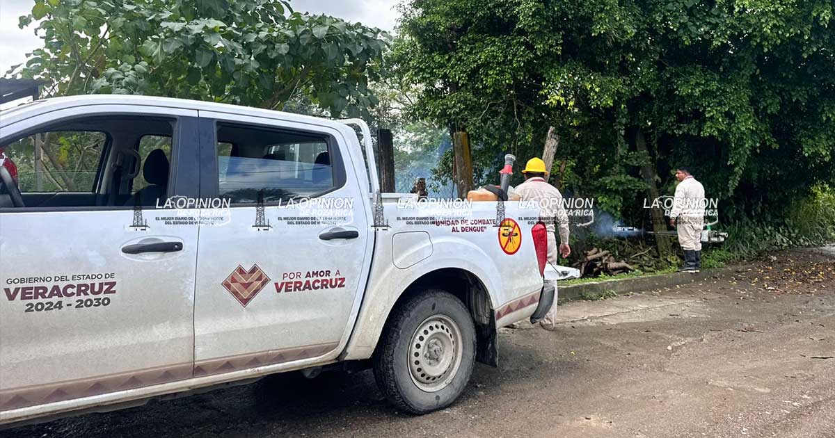 Vectores fumigan sectores de la periferia de la ciudad Vectores fumigan sectores de la periferia de la ciudad