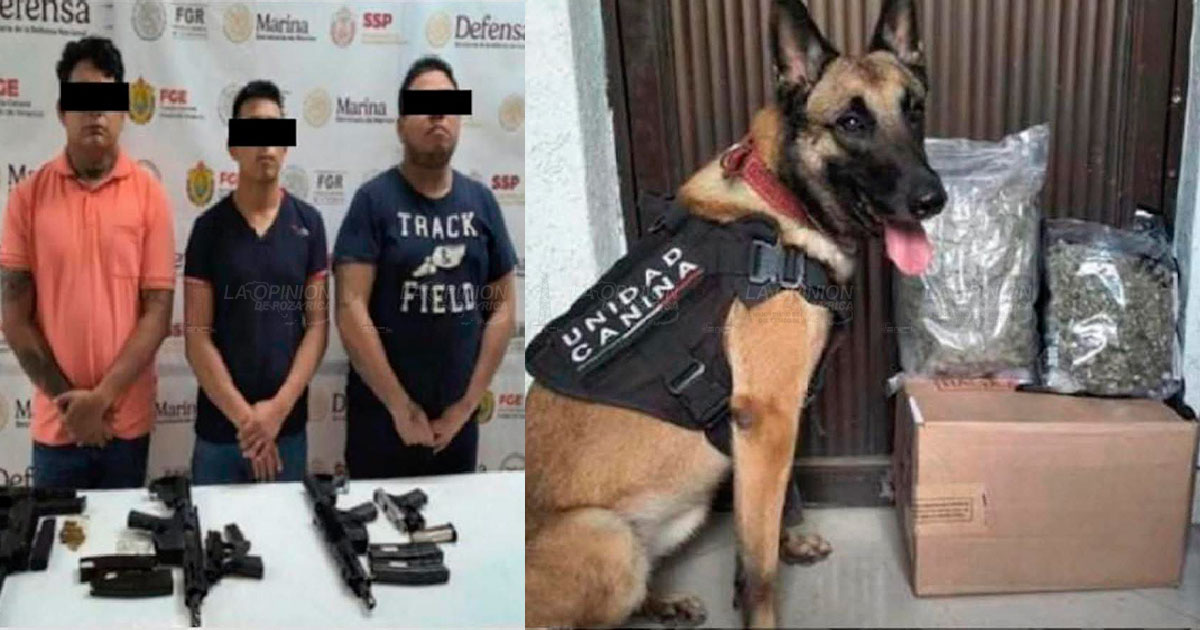 Decomisan vapes con psicoactivos Decomisan vapes con psicoactivos