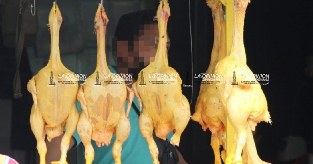 Consumir pollo sin sello sanitario representa un riesgo para la salud Consumir pollo sin sello sanitario representa un riesgo para la salud