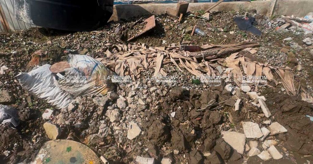 Problemas de seguridad y servicio de limpieza prevalecen en la Florida Problemas de seguridad y servicio de limpieza prevalecen en la Florida