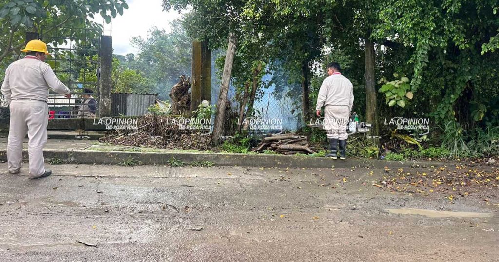Vectores fumigan sectores de la periferia de la ciudad Vectores fumigan sectores de la periferia de la ciudad