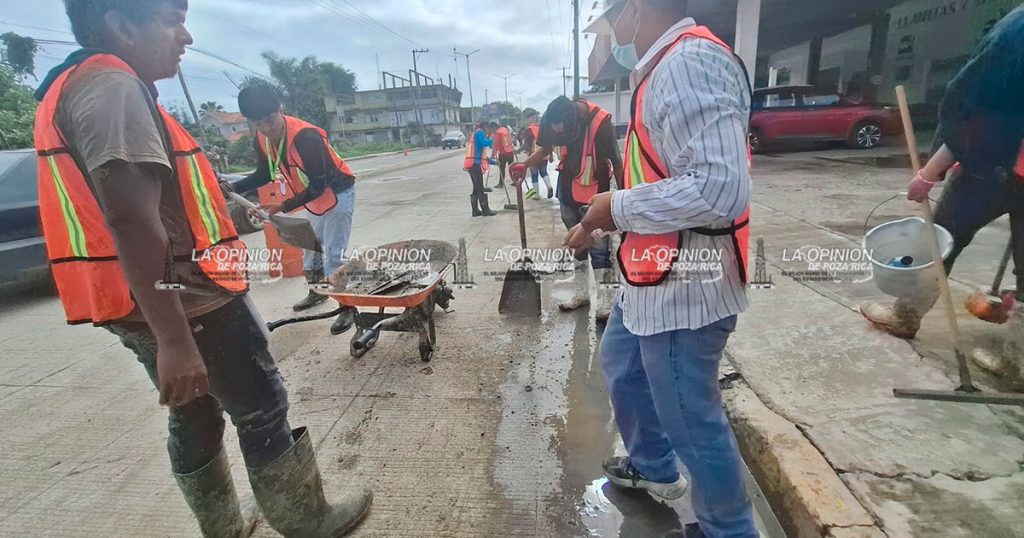 Notorios avances en limpieza y saneamiento Notorios avances en limpieza y saneamiento