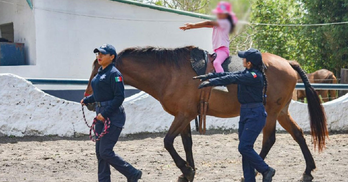 Equinoterapia de SSP, motor que impulsa y cambia la vida de niñas, niños y jóvenes con discapacidad Equinoterapia de SSP, motor que impulsa y cambia la vida de niñas, niños y jóvenes con discapacidad
