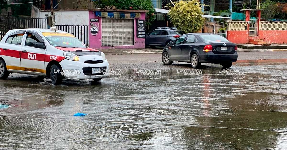 Imparable contaminación con aguas negras en el Campo V Imparable contaminación con aguas negras en el Campo V
