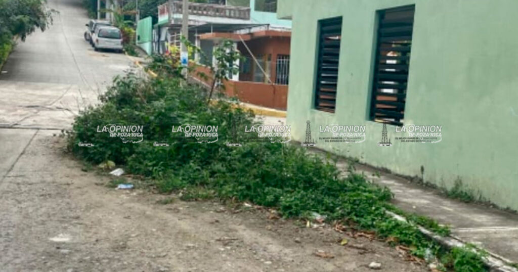 Genera CAEV peligro mortal en la colonia Agustín Lara Genera CAEV peligro mortal en la colonia Agustín Lara