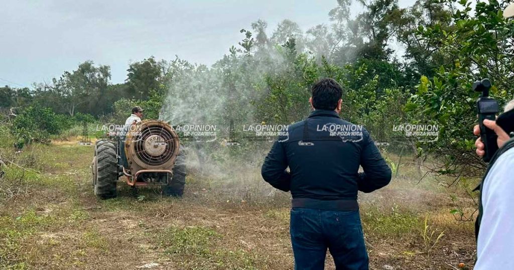 Promueven prácticas hacia la agricultura regenerativa Promueven prácticas hacia la agricultura regenerativa