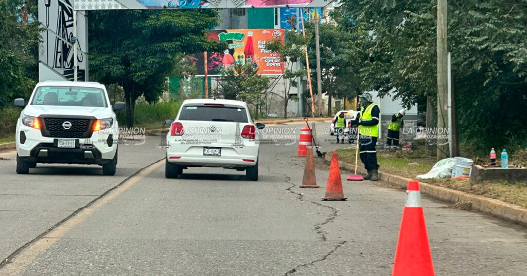 Jóvenes Construyendo el Futuro limpian la avenida Ejército Mexicano Jóvenes Construyendo el Futuro limpian la avenida Ejército Mexicano