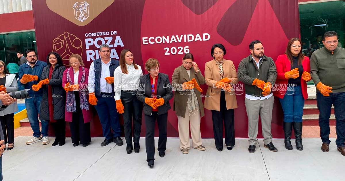 Habilitan 18 puntos de acopio de arbolitos de Navidad Habilitan 18 puntos de acopio de arbolitos de Navidad