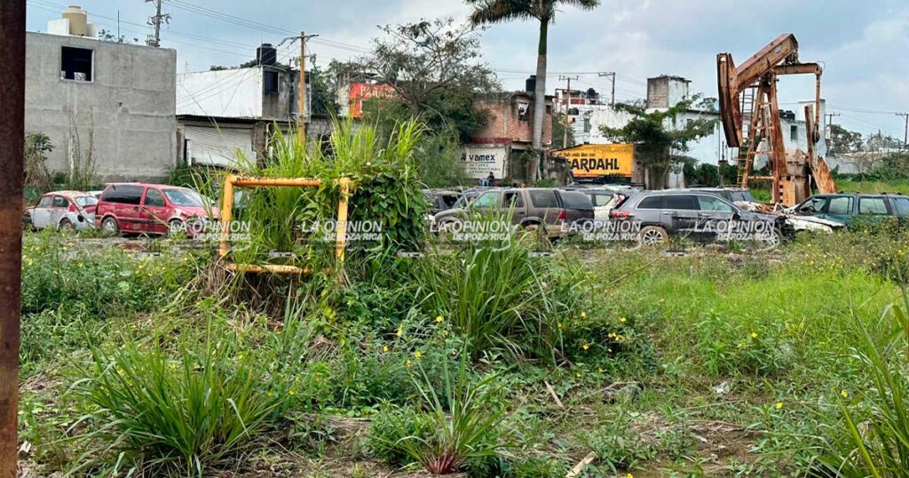 Dueños morosos, no han reclamado sus automóviles tras inundación