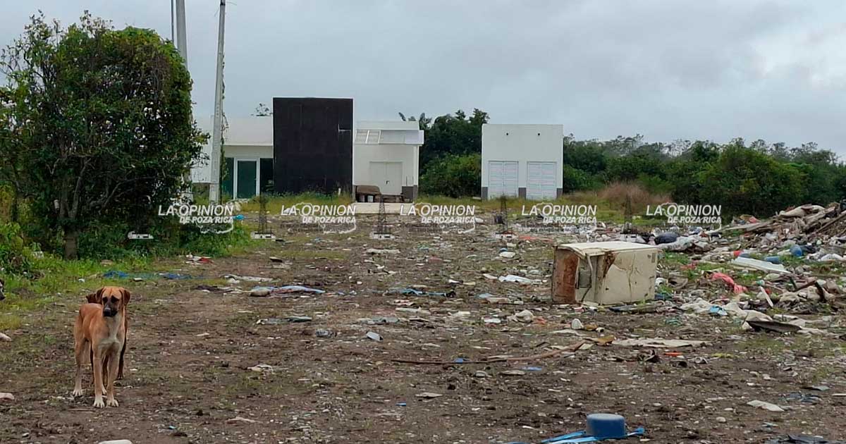 Edificio para SEMEFO quedó entre escombros Edificio para SEMEFO quedó entre escombros