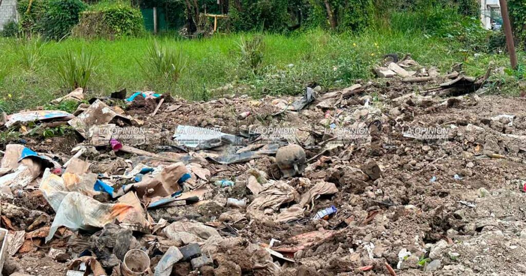 Dueños morosos, no han reclamado sus automóviles tras inundación Dueños morosos, no han reclamado sus automóviles tras inundación