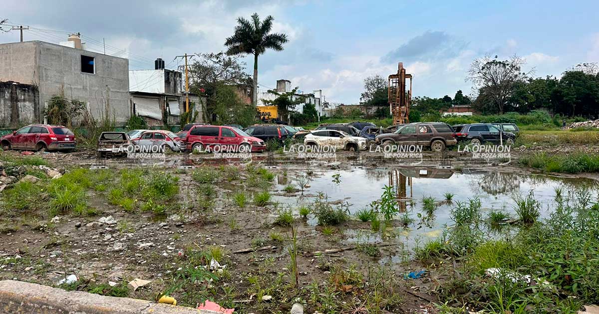 Dueños morosos, no han reclamado sus automóviles tras inundación Dueños morosos, no han reclamado sus automóviles tras inundación