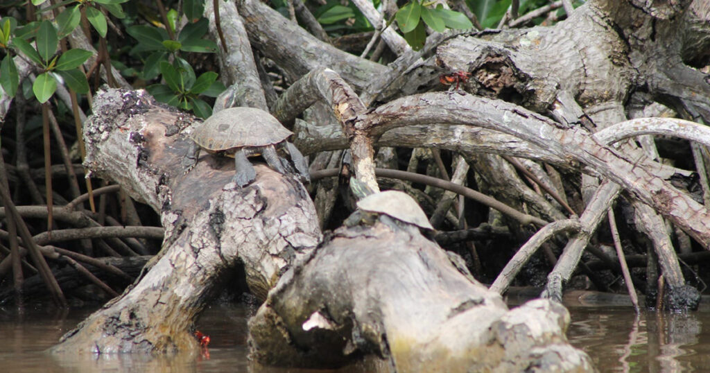 Empresarios buscan que se reconozca su vocación turística Empresarios buscan que se reconozca su vocación turística