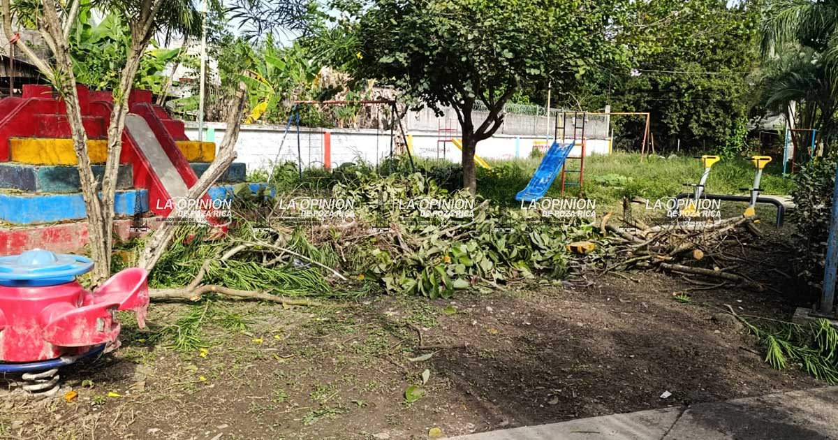 En abandono parque “Citlali Cuecuetzin” En abandono parque “Citlali Cuecuetzin”