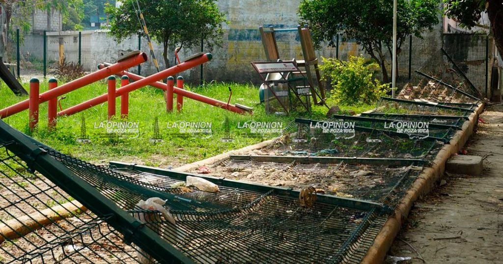 Bacheo, rehabilitación de parques y campos deportivos, prioridad: Adanely Rodríguez Bacheo, rehabilitación de parques y campos deportivos, prioridad: Adanely Rodríguez