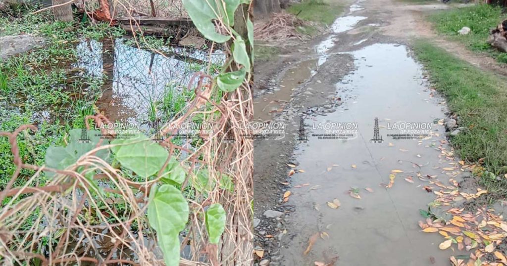 Fuga de agua causa estragos en Cerro Azul Fuga de agua causa estragos en Cerro Azul
