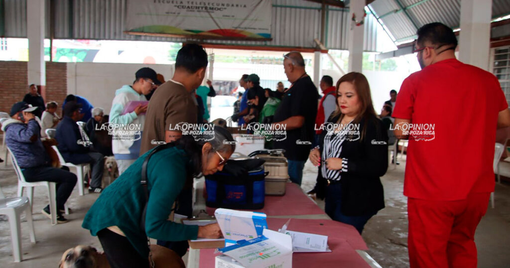 Llevarán jornadas de salud animal a colonias afectadas por la inundación
Llevarán jornadas de salud animal a colonias afectadas por la inundación