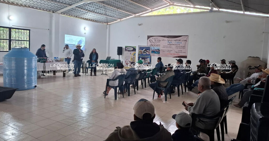 Ganaderos de Tecolutla refuerzan prevención contra el gusano barrenador Ganaderos de Tecolutla refuerzan prevención contra el gusano barrenador