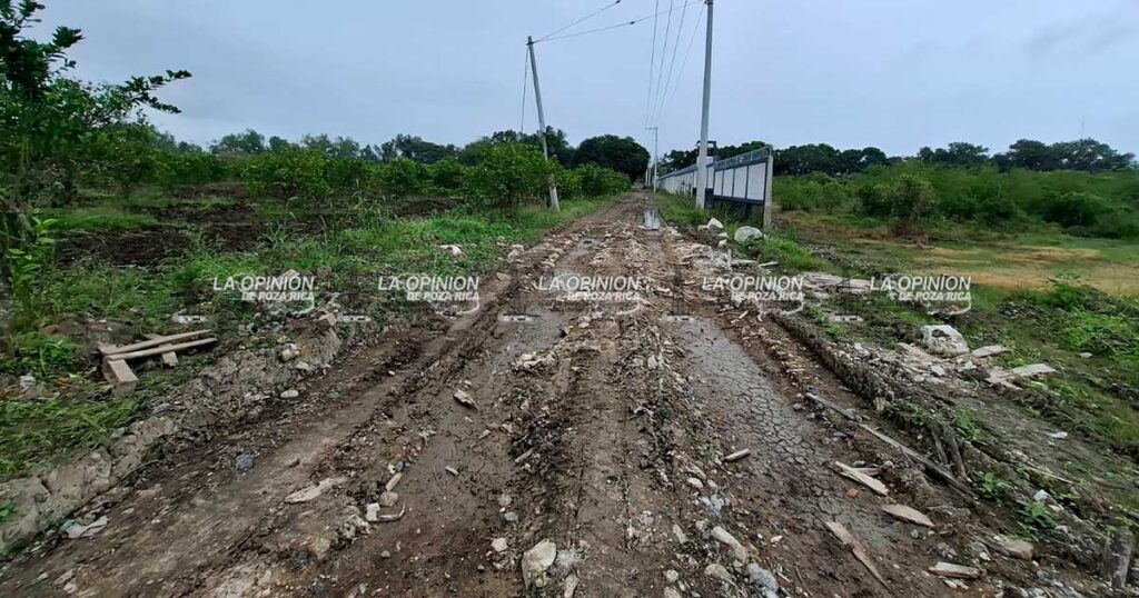 Edificio para SEMEFO quedó entre escombros Edificio para SEMEFO quedó entre escombros